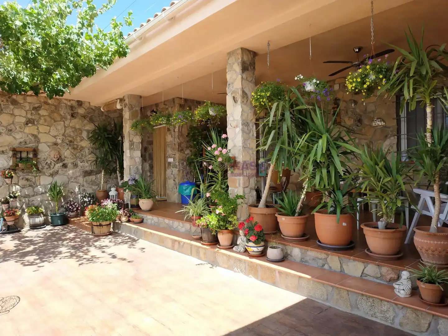Finca rústica en venta en de Paredes a Cenicientos , Paredes de Escalona