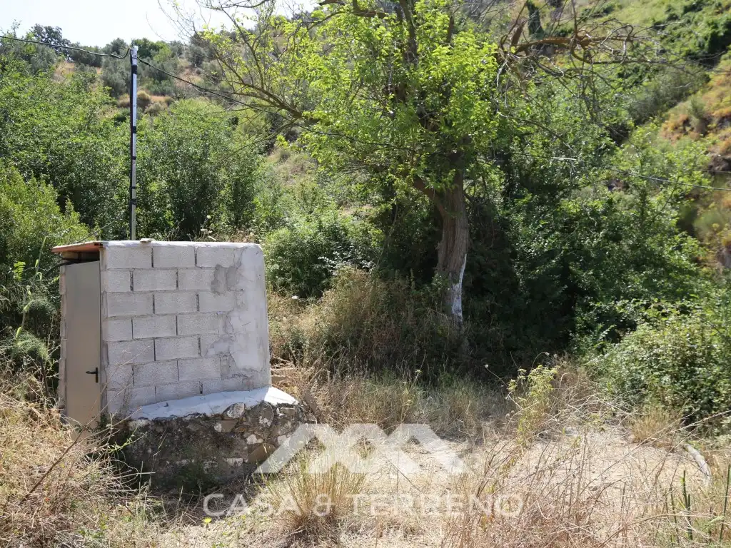 Houses for sale in Totalán