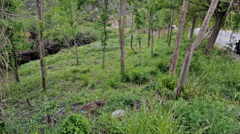 Foto 4 de Terreny industrial en venda a Carrer Industria, Sant Feliu de Codines, Barcelona