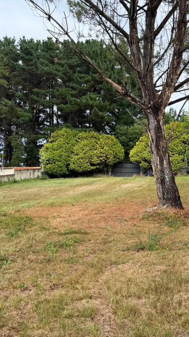 Rural land for sale in La Iglesia, imagen 30