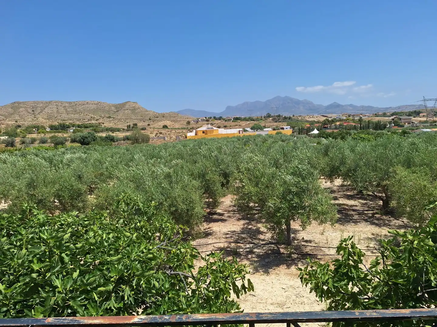 Vista exterior de Casa o xalet en venda en Alicante / Alacant amb Jardí privat, Terrassa i Traster