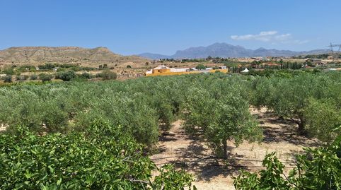 Foto 5 de Casa o chalet en venta en Montnegre, Alicante / Alacant