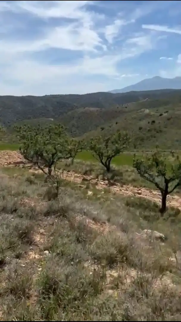 Terreno rustico in vendita a Cervera del Río Alhama, imagen 3