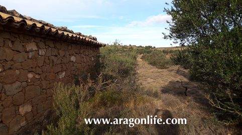 Foto 4 de Terreno en venta en N/a, -1, Fabara, Zaragoza