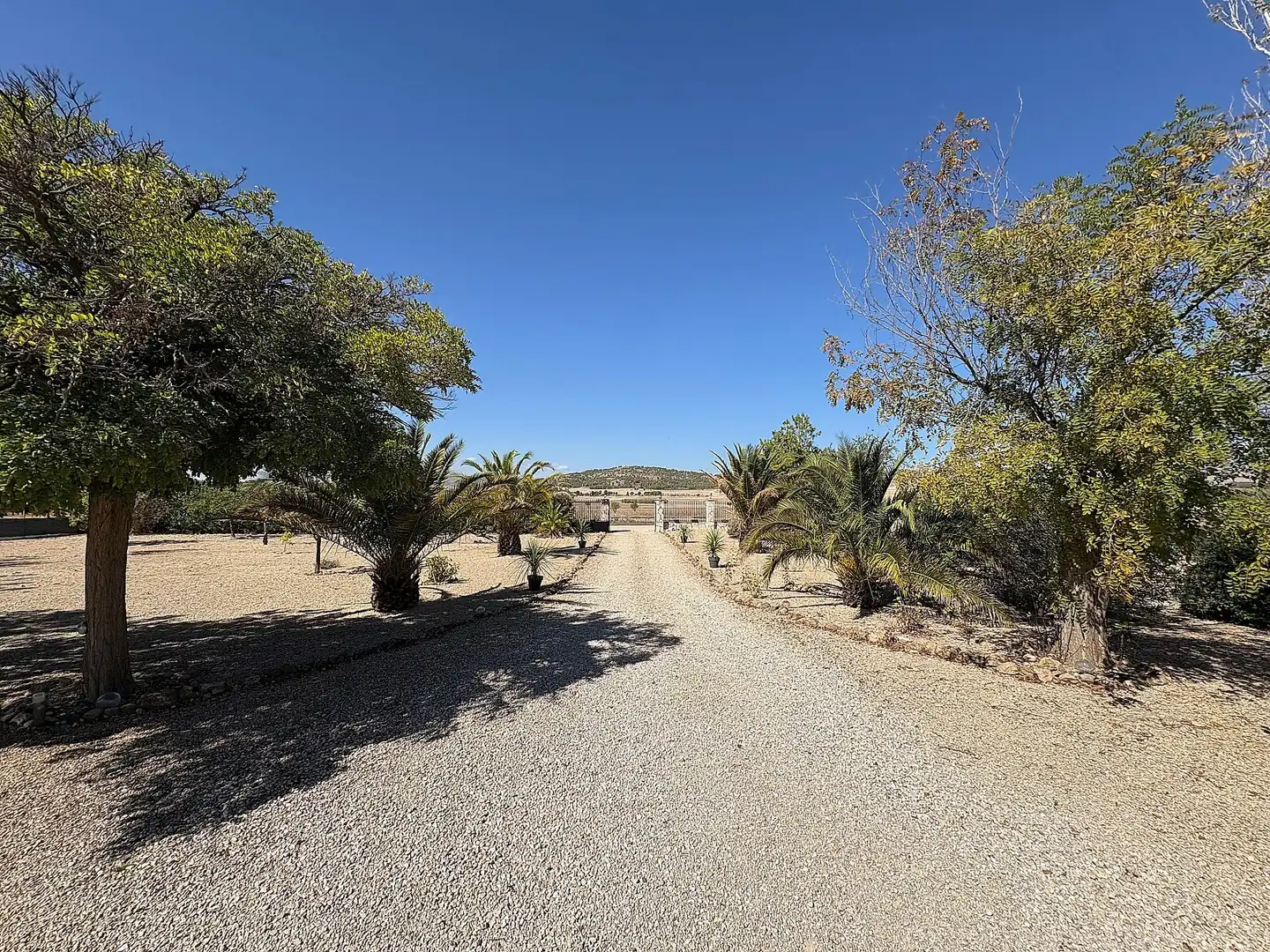 Vista exterior de Casa o xalet en venda en Biar amb Calefacció, Jardí privat i Parquet