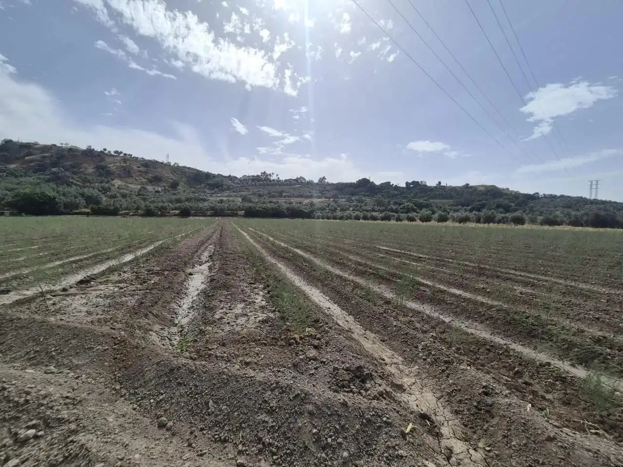 Terrain résidentiel à vendre à Loja, imagen 11