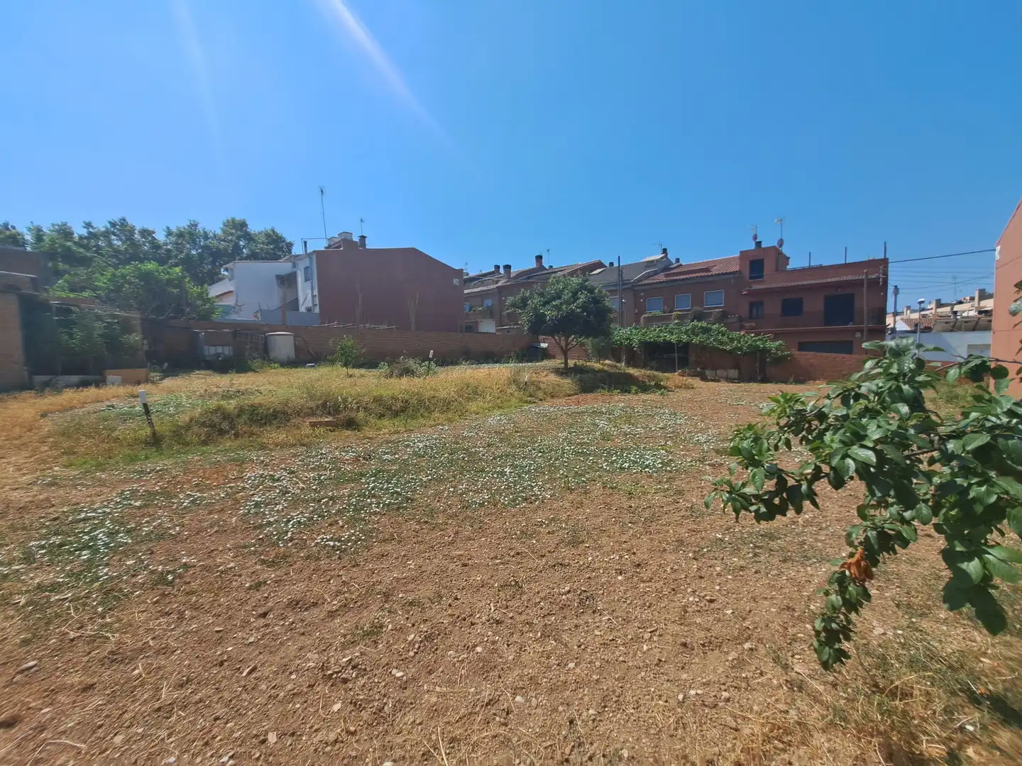 Terrenos y solares en venta en Ca n'Oriol, imagen 4