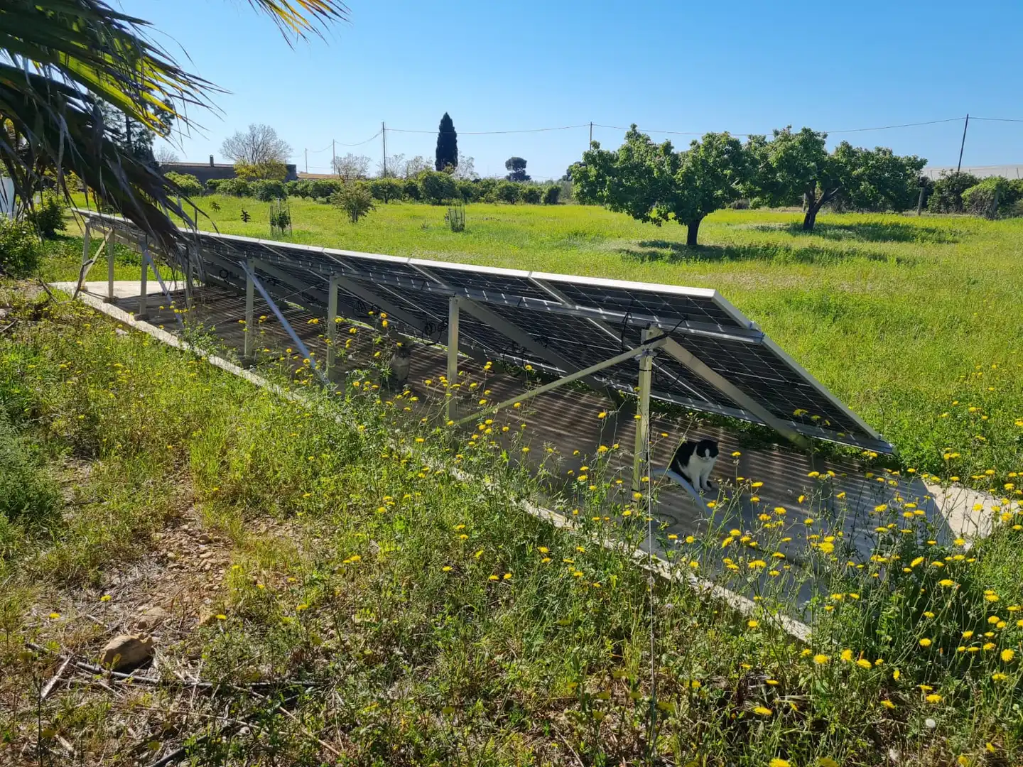 Detached house with pool for sale in Boverals - Saldonar, imagen 2