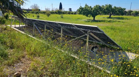 Finca exclusiva con villa, piscina y licencia turística entre Vinaròs y Alcanar, imatge 2