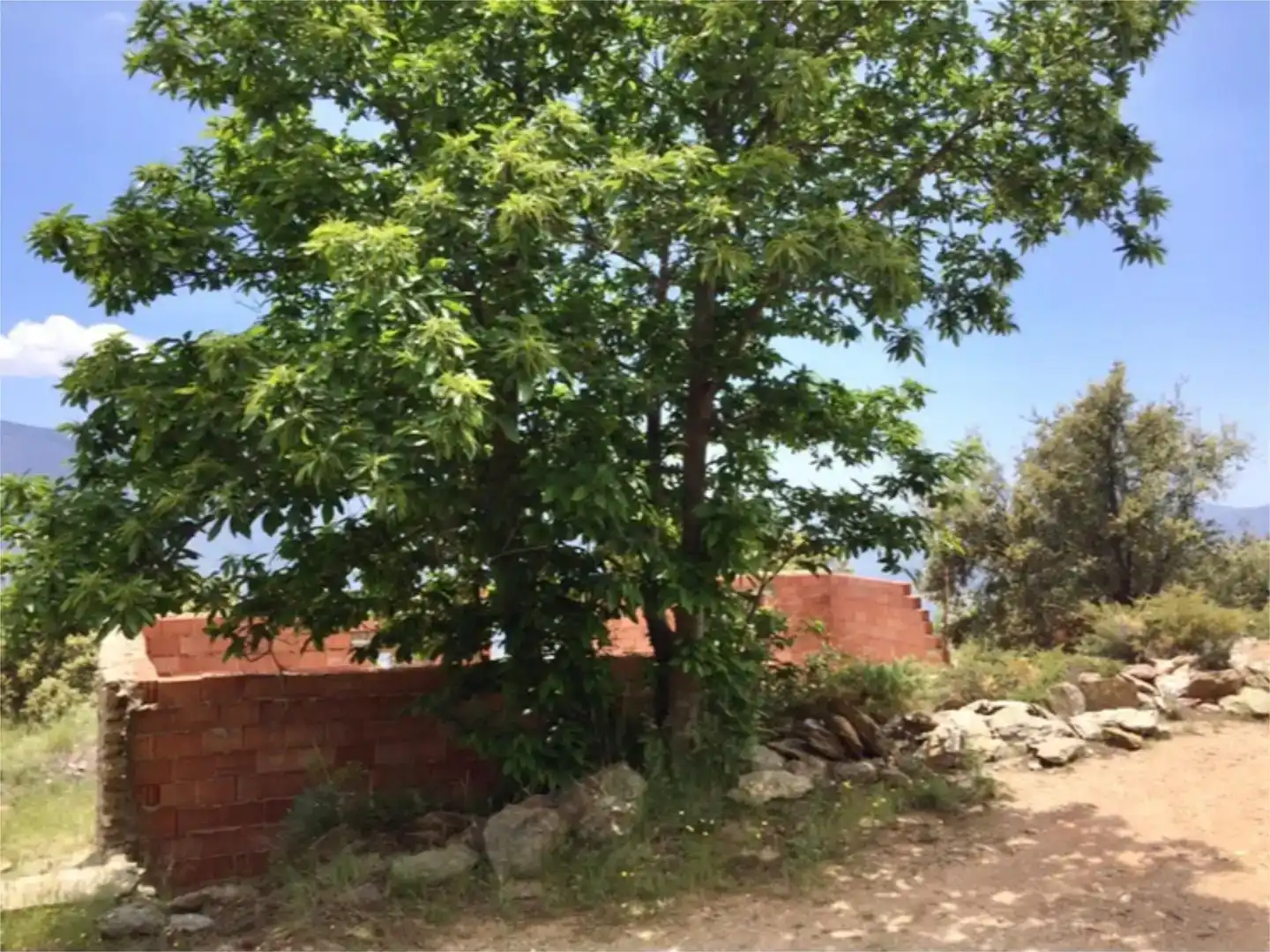Finca rústica en venda en Cáñar