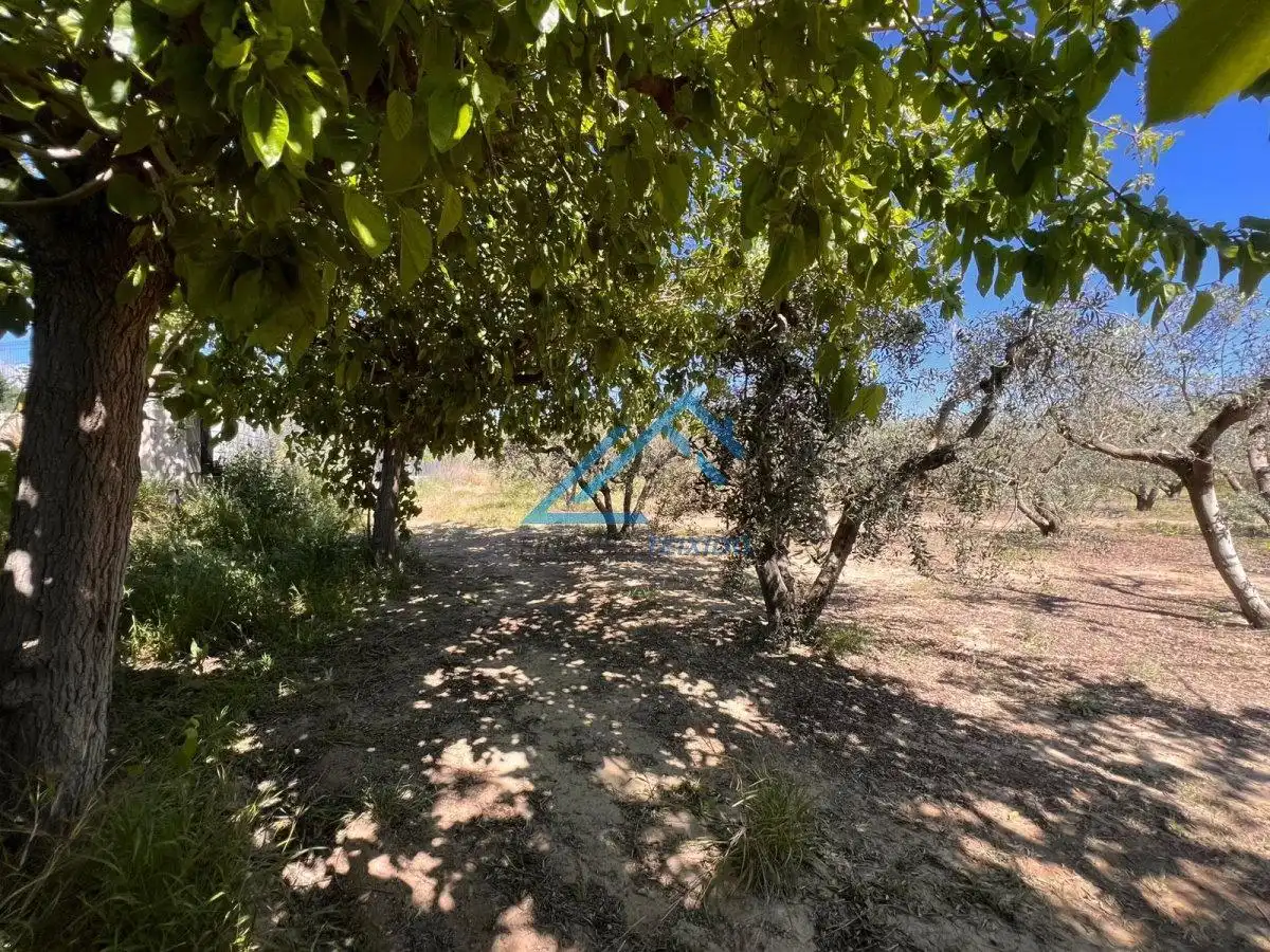 Land for sale in Vinyols i els Arcs