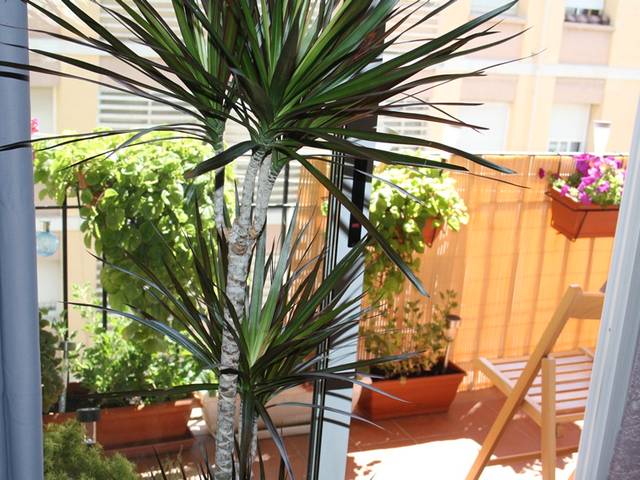 Piso en Venta en Las Trescientas - San Francisco - Ciudad Vergel