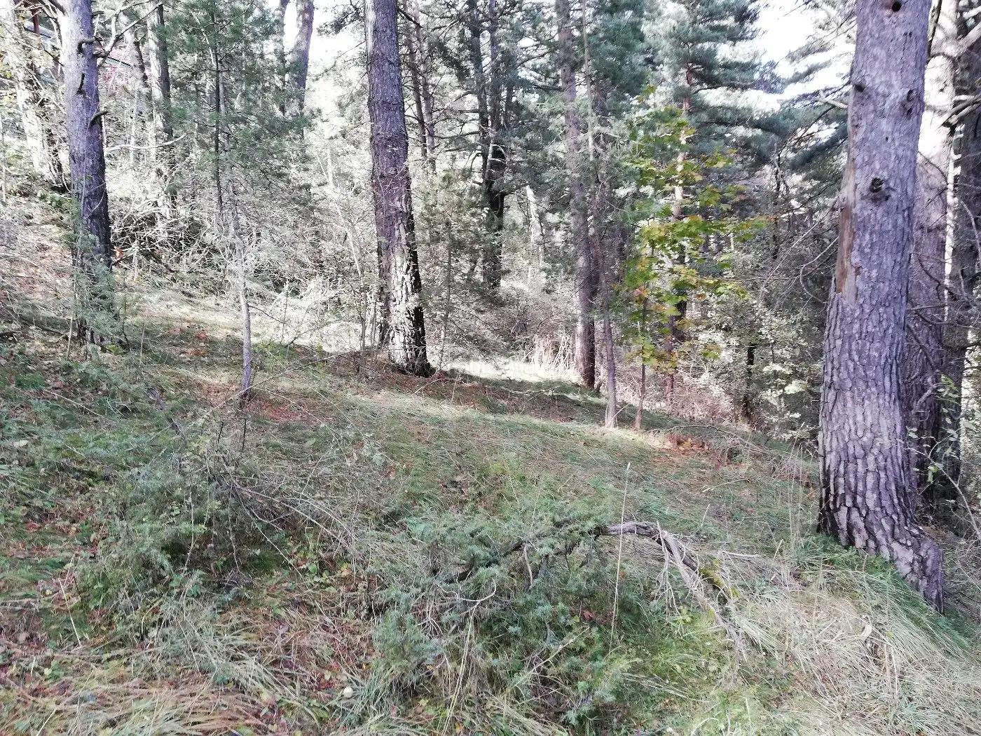 Wohnbaugrundstück zum Verkauf in Avinguda de la Molina 142, imagen 8