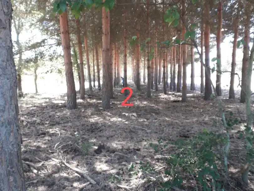 Terreno en venta en Nava de Francia