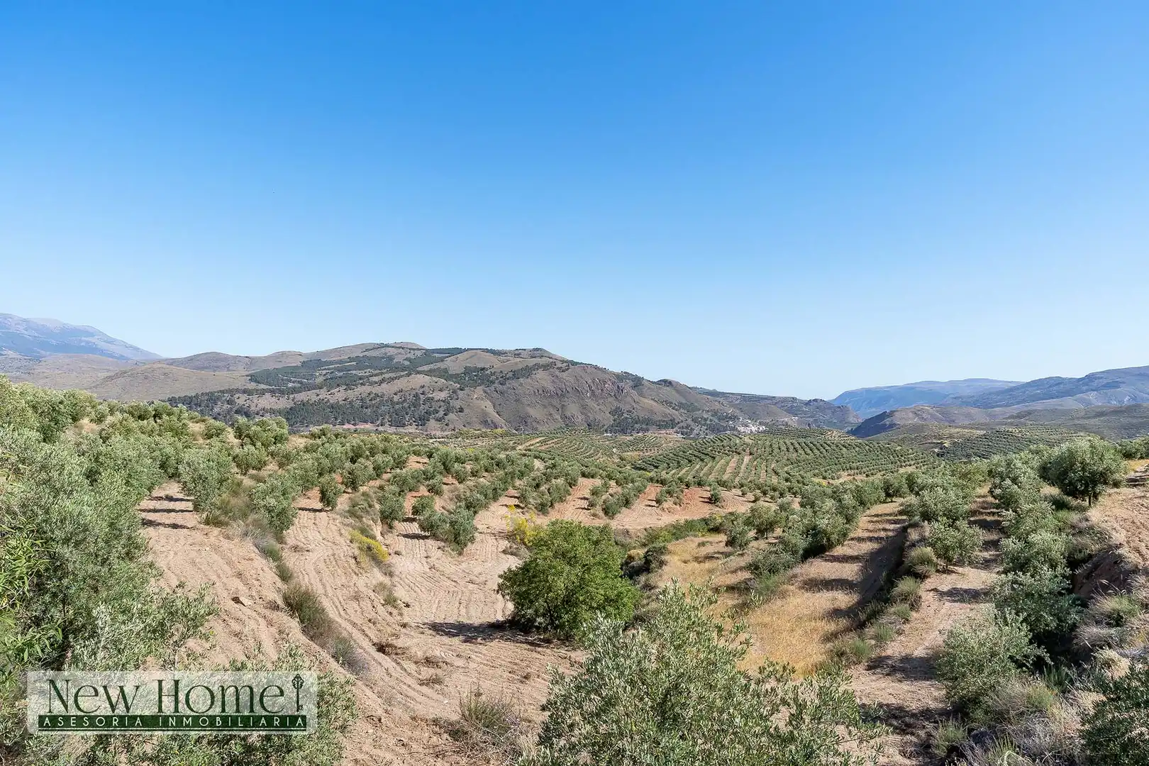Finca rústica en venta en Ugíjar