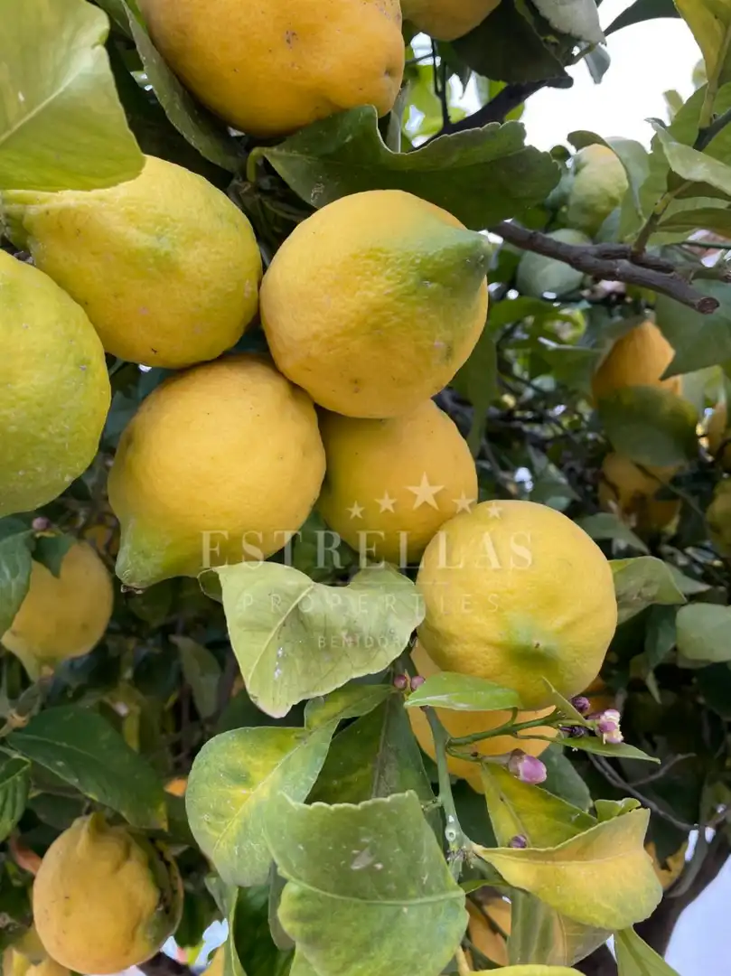 Xalet amb terrassa en venda a Benahavís pueblo, imagen 25