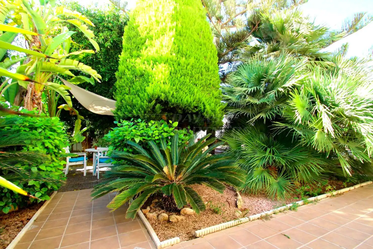 Villa mit Terrasse zum Verkauf in Nueva Torrevieja - Aguas Nuevas, imagen 69