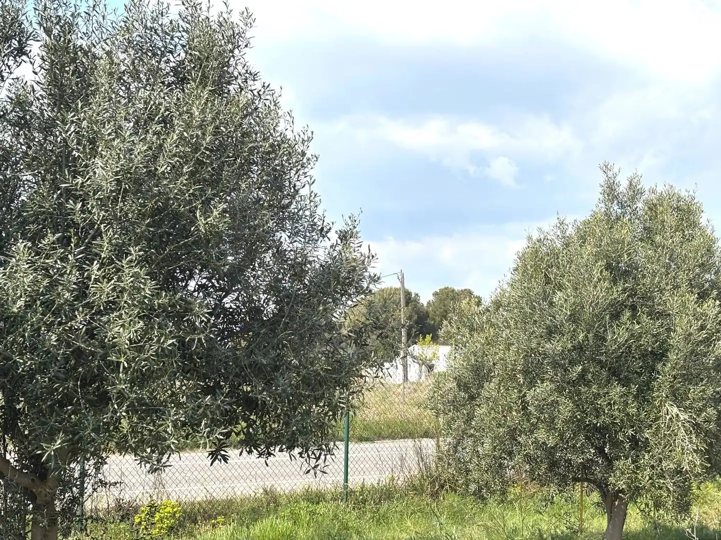 Rural land for sale in Santa Oliva, imagen 19