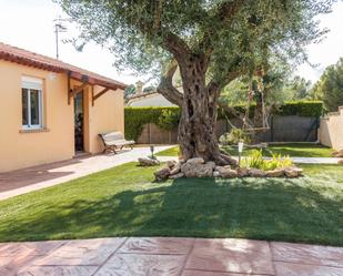 Jardí de Casa o xalet en venda en El Perelló amb Terrassa