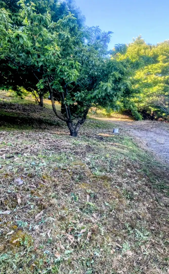Terreni e lotti in vendita a Carretera del Camping, imagen 6