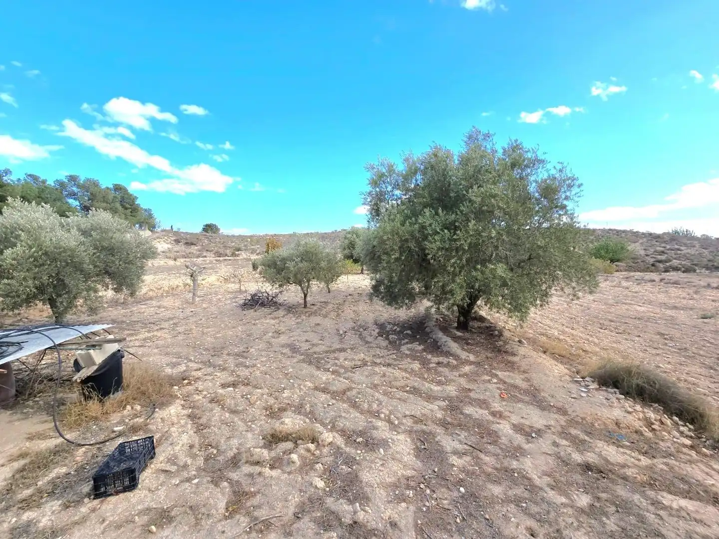 Casa o chalet en venta en Molina de Segura con Aire acondicionado, Calefacción y Jardín privado