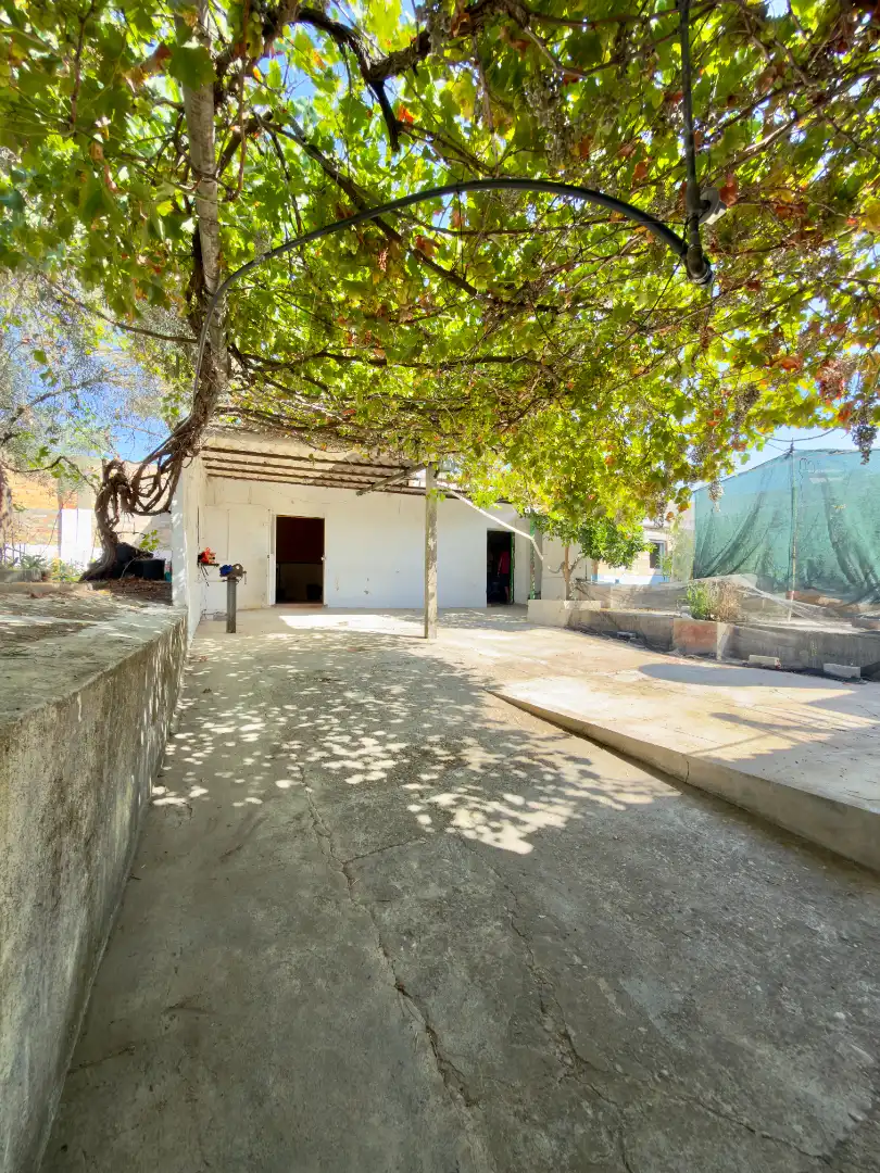 Vista exterior de Casa o xalet en venda en Bornos amb Aire condicionat, Jardí privat i Moblat
