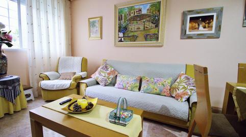 Photo 4 of Planta baja for sale in San Crispín, Elche / Elx