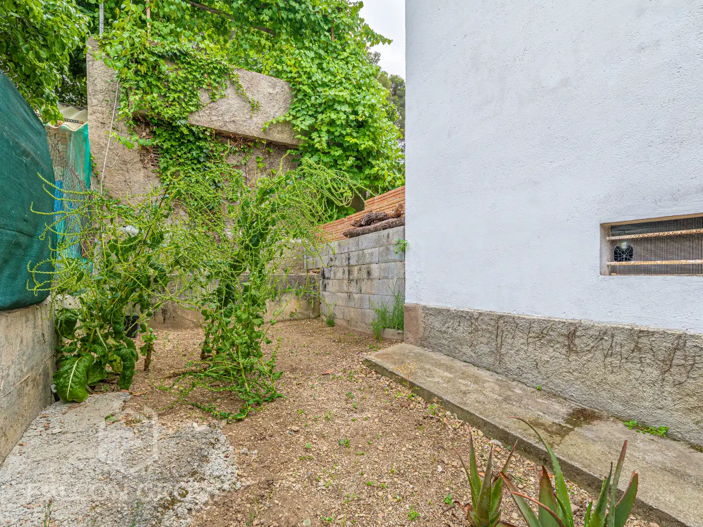 Jardín de Casa o chalet en venta en Canyelles con Jardín privado, Terraza y Piscina