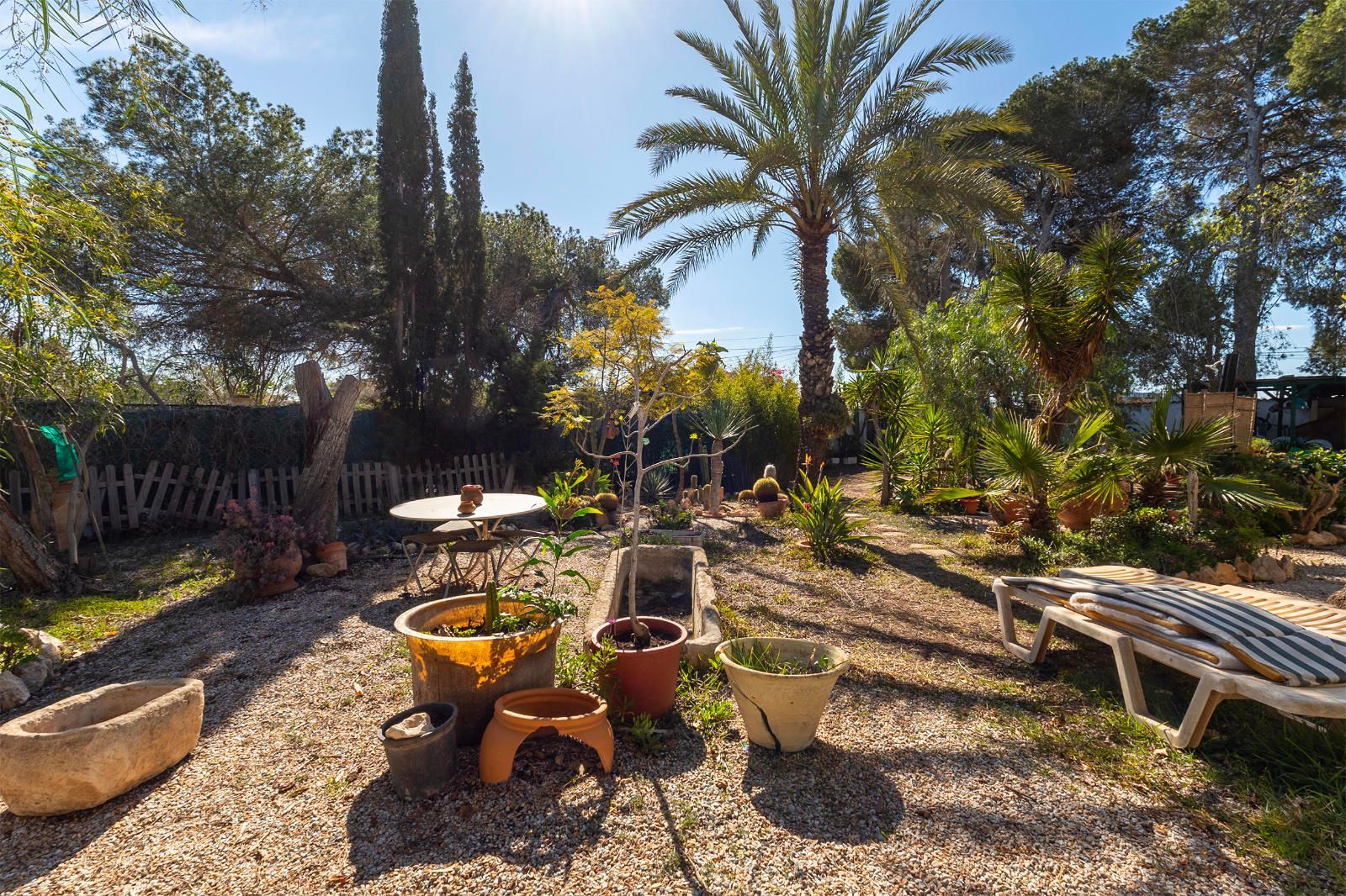 Garden of House or chalet for sale in Orihuela