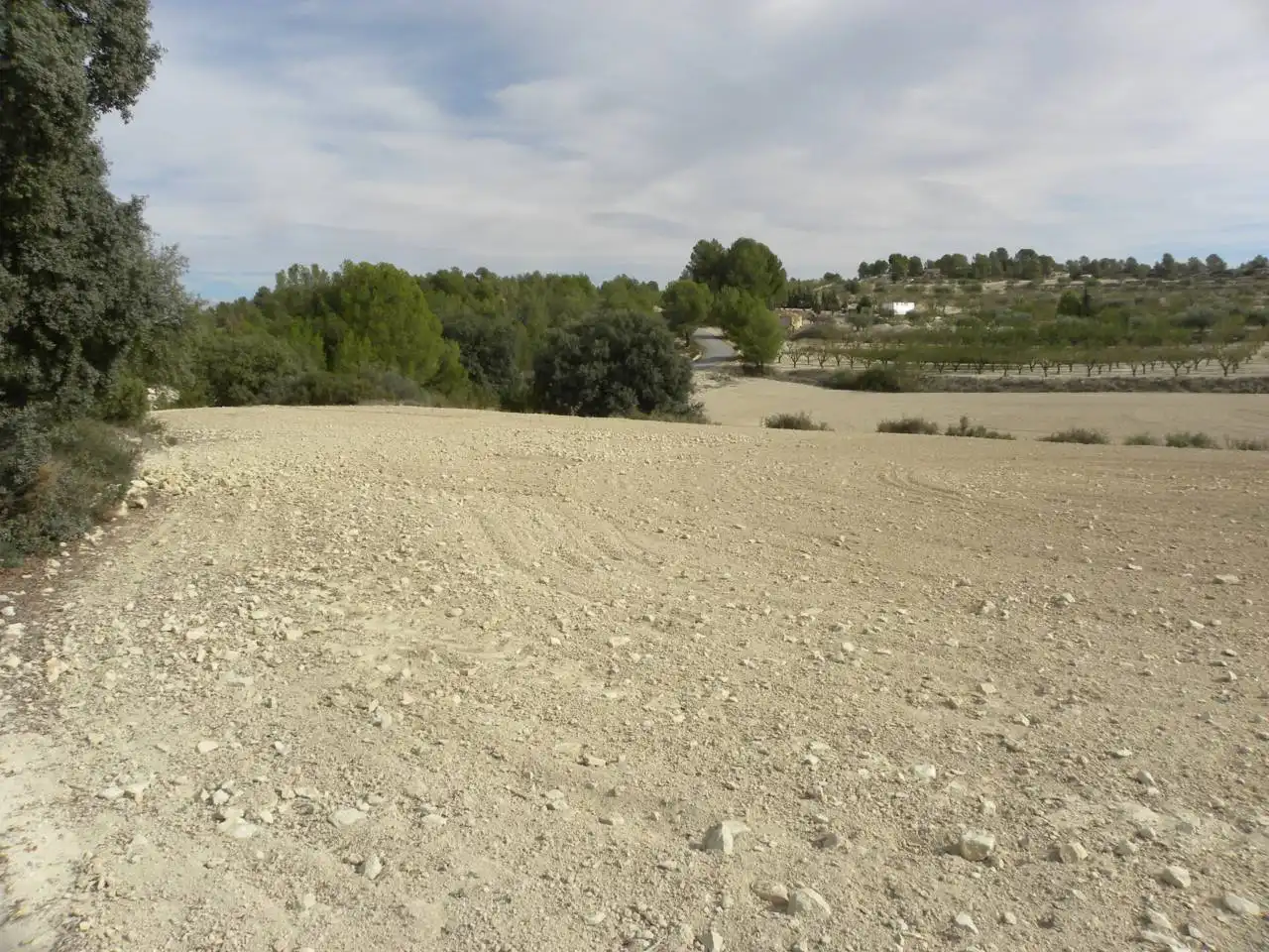 Terreno residencial en venta en Caravaca de la Cruz, imagen 5