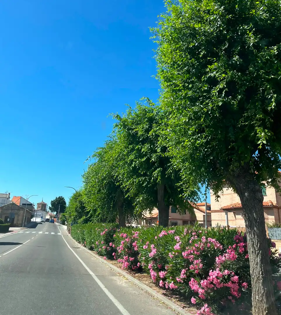 Chalet con jardín en venta en Calle San Juan de la Cruz, imagen 3