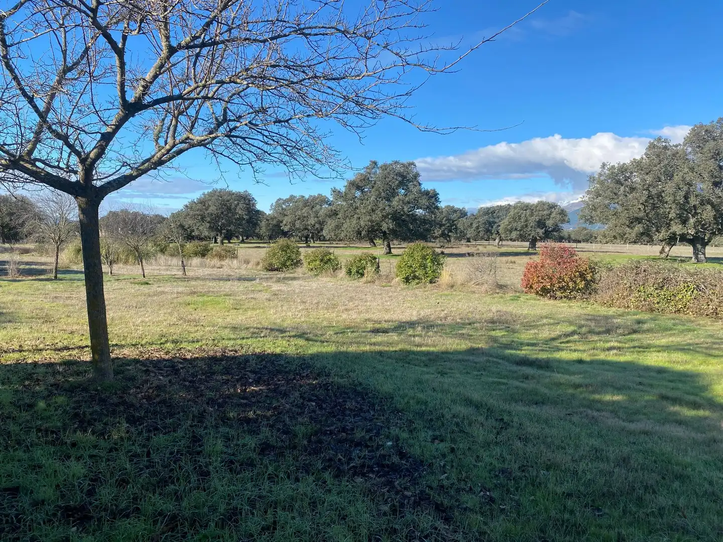 Finca rústica en venta en Buenaventura