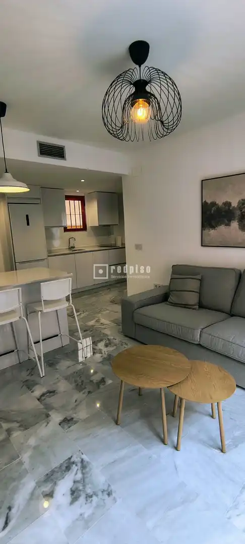 Sala d'estar de Pis de lloguer en Centro
