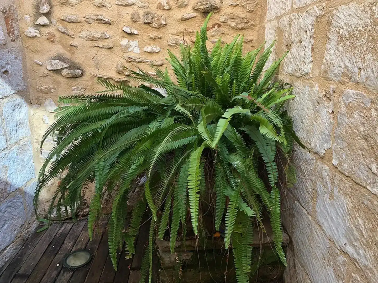 Garten von Wohnung zur Miete in Jávea / Xàbia mit Klimaanlage und Balkon