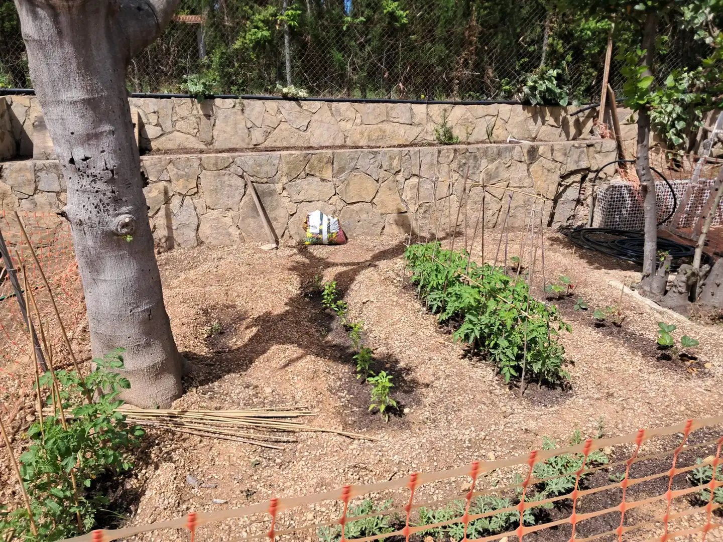 Villa avec piscine à vendre à Calle 18, imagen 40