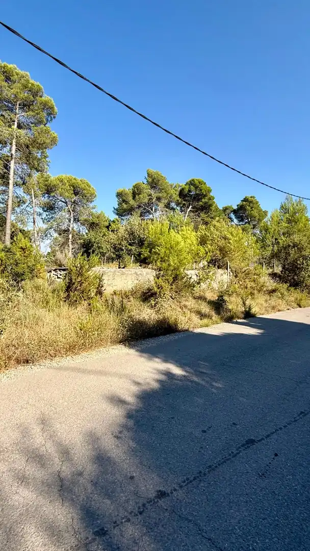 Residential land for sale in Avenida l'Onze de Setembre 22, imagen 11