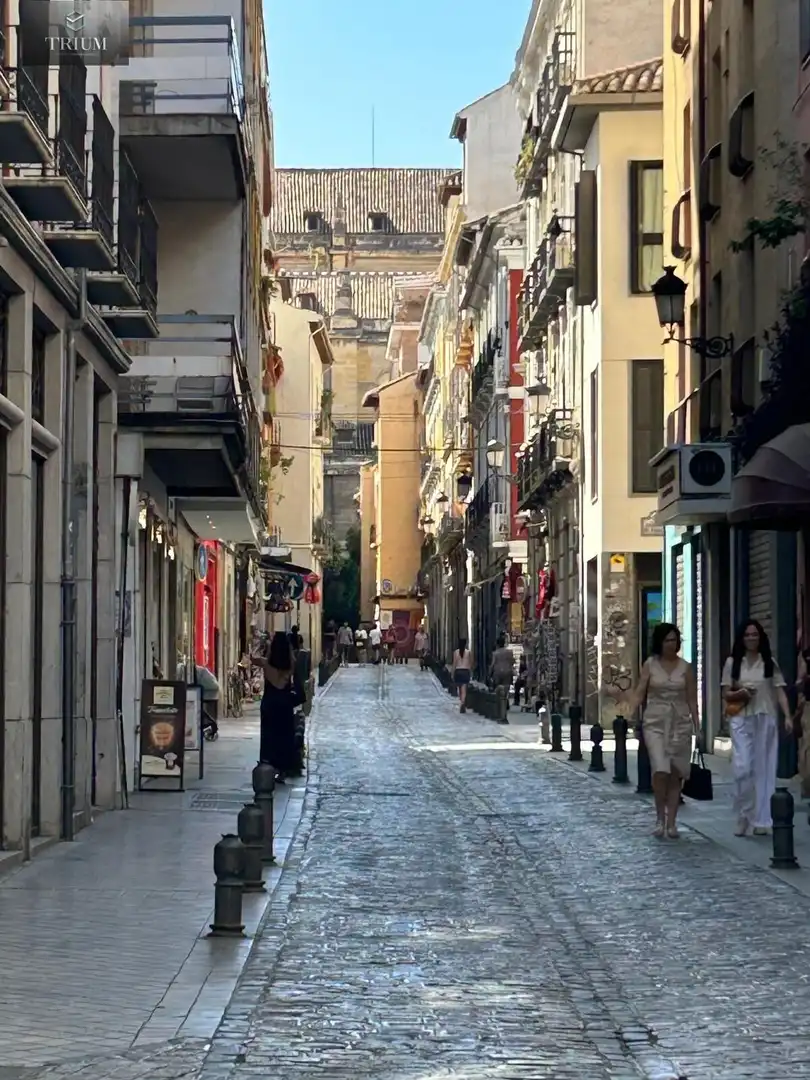 Vista exterior de Apartament de lloguer en Granada amb Traster, Moblat i Balcó