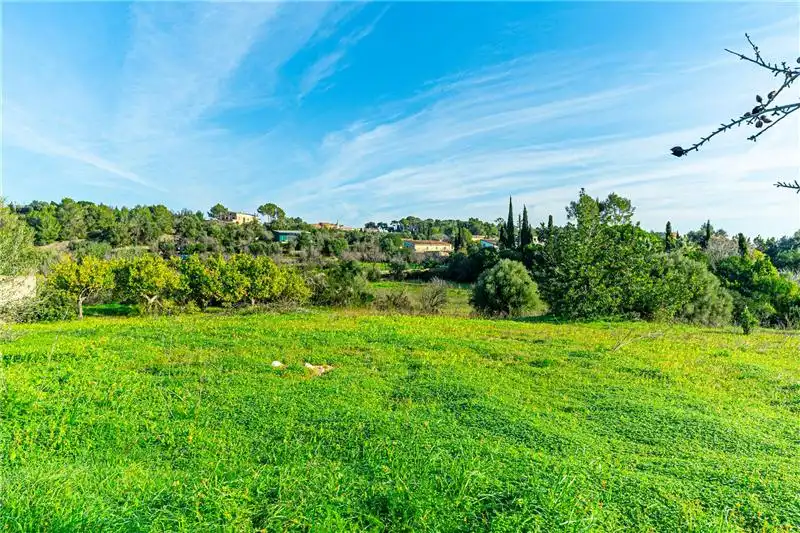 Villa mit Terrasse zum Verkauf in Nord, imagen 23