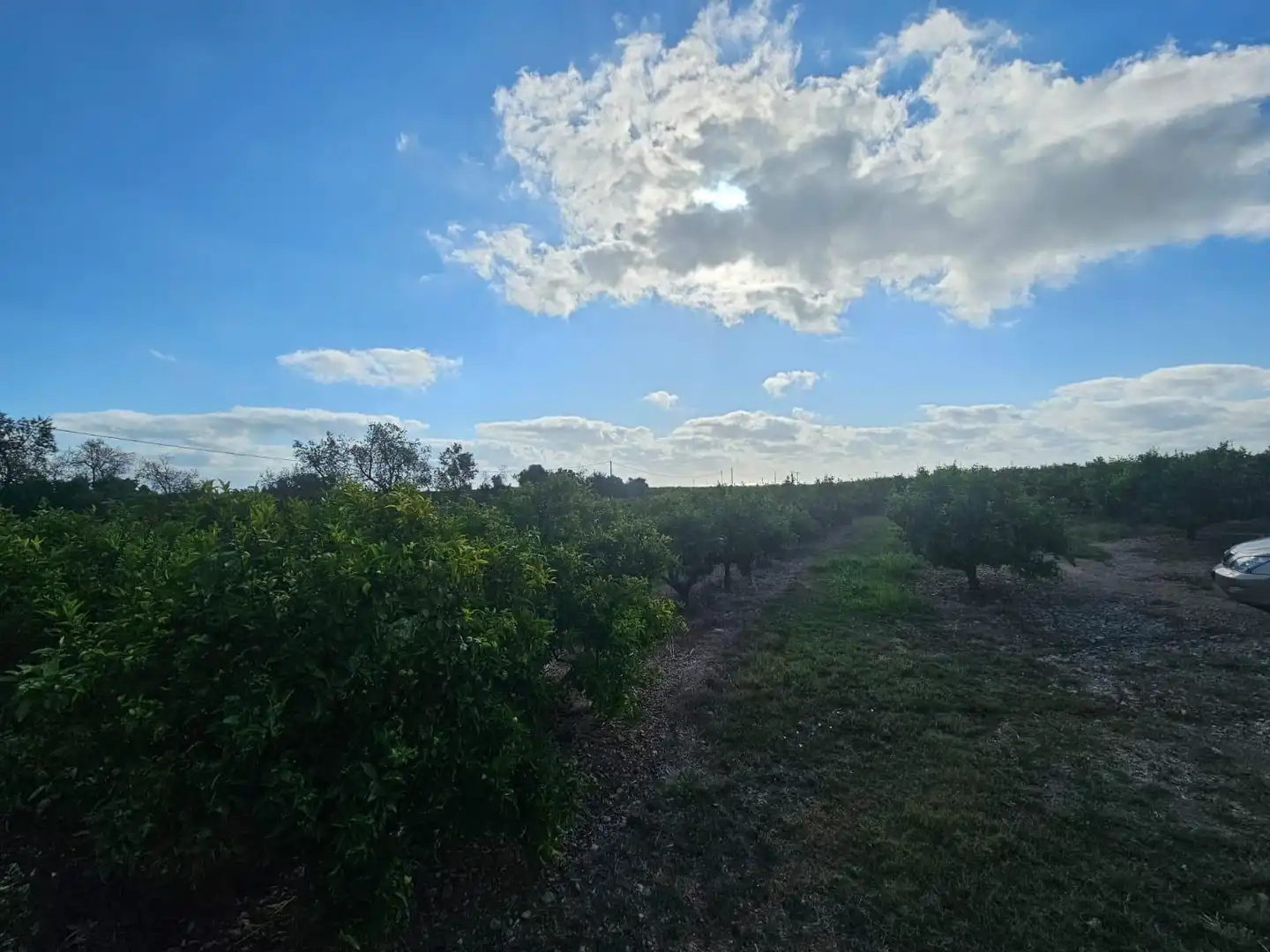 Country house for sale in Alcanar, imagen 16