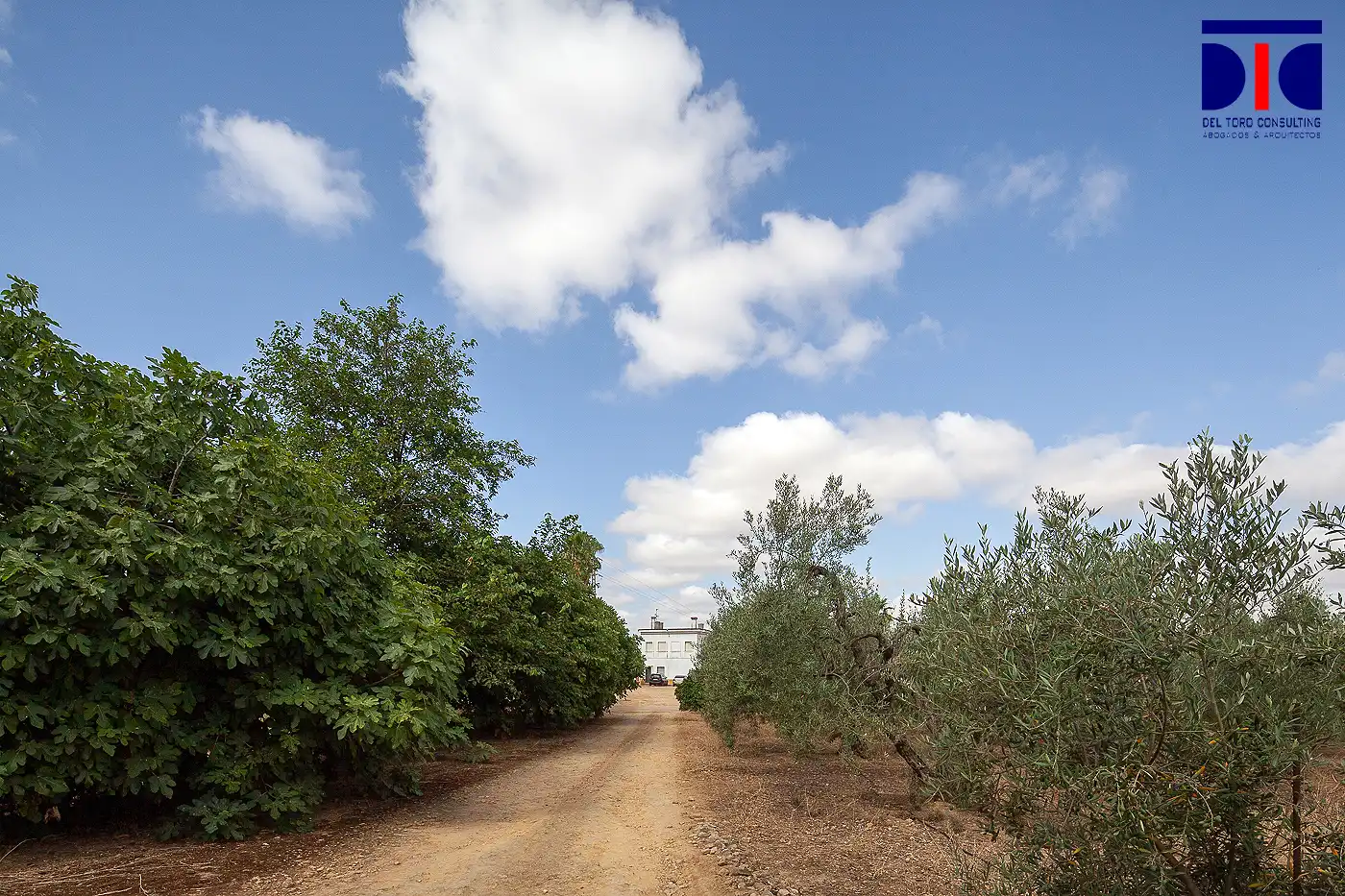 Vista exterior de Finca rústica en venta en Carmona con Jardín privado, Terraza y Piscina