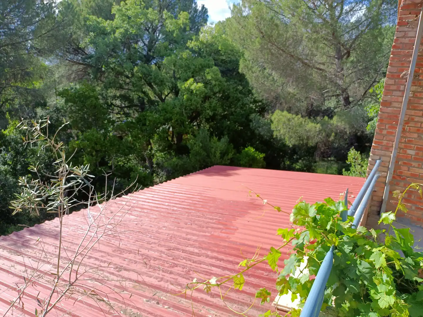 Detached house for sale in Camino Angel Siete Fincas, imagen 4