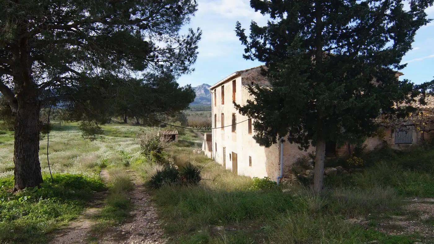 Vista exterior de Terreno en venta en Tivissa