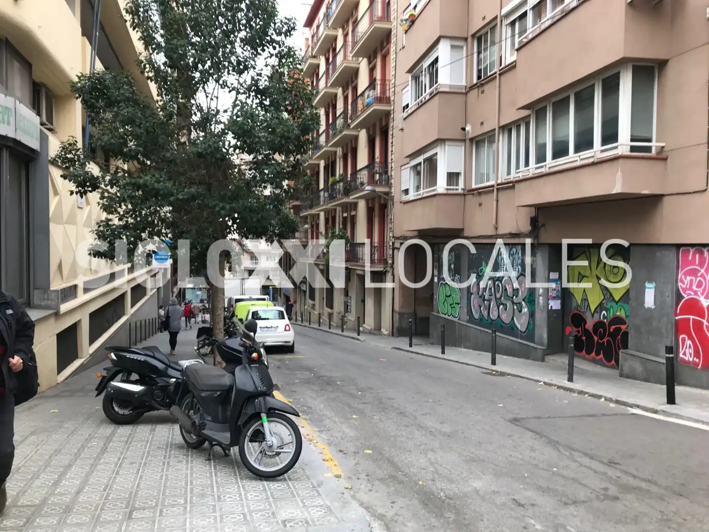 Local comercial en venta en DE VERDI, imagen 7