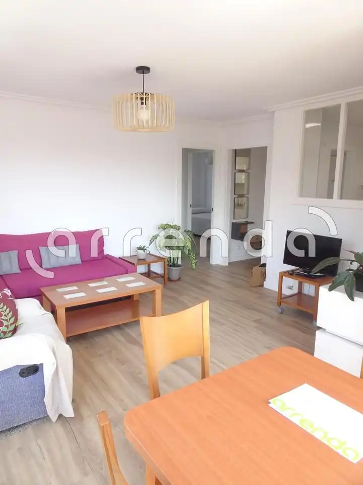Sala de estar de Piso de alquiler en Santander con Amueblado