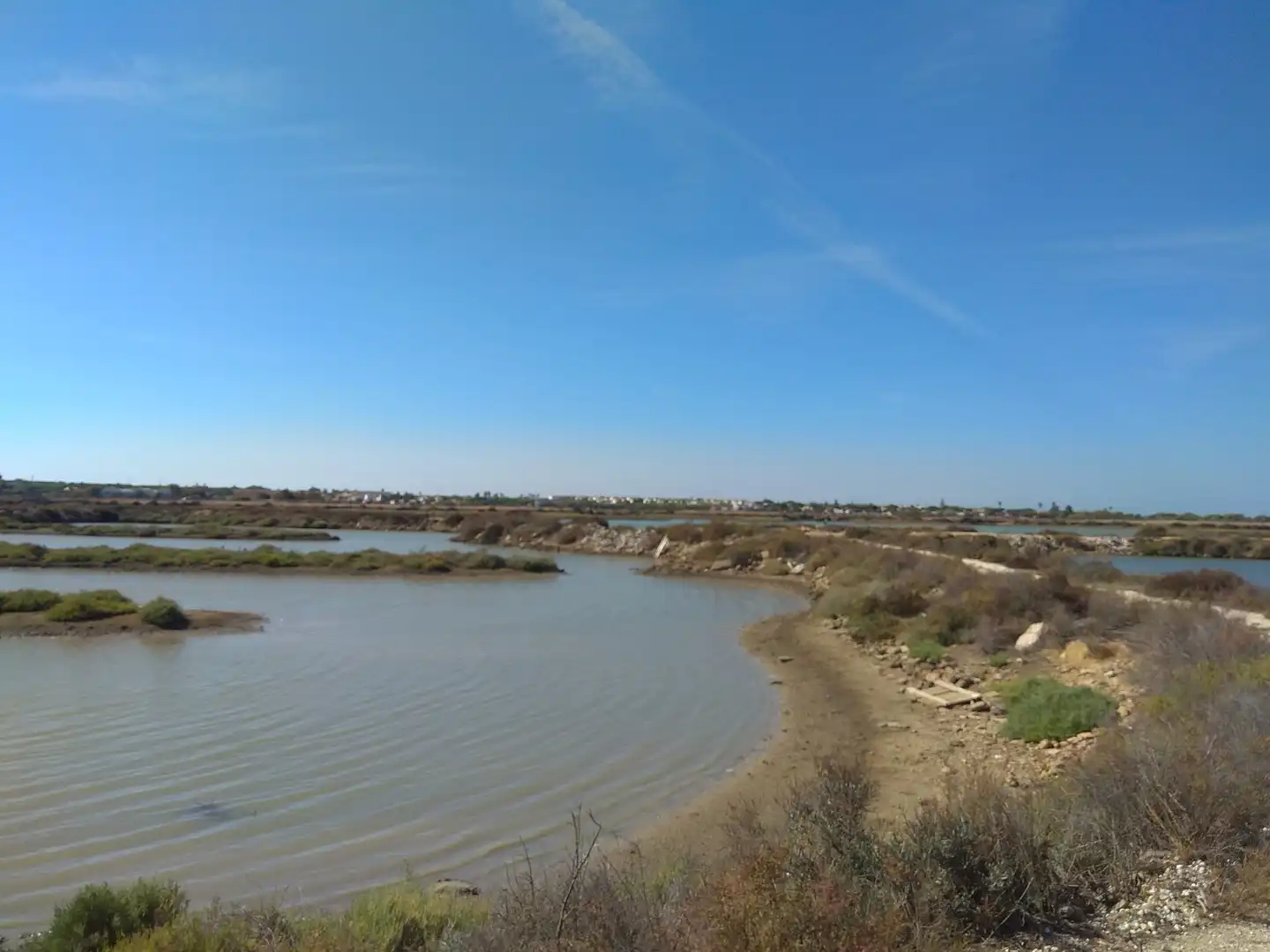 Rustikales Grundstück zum Verkauf in La Barrosa, imagen 8