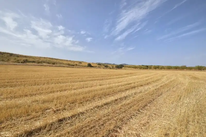 Terreni e lotti in vendita a Padul, imagen 23