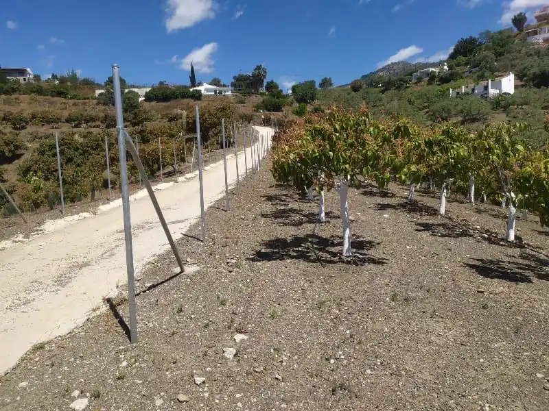 Rural land for sale in Camino de Peñones 11, imagen 8