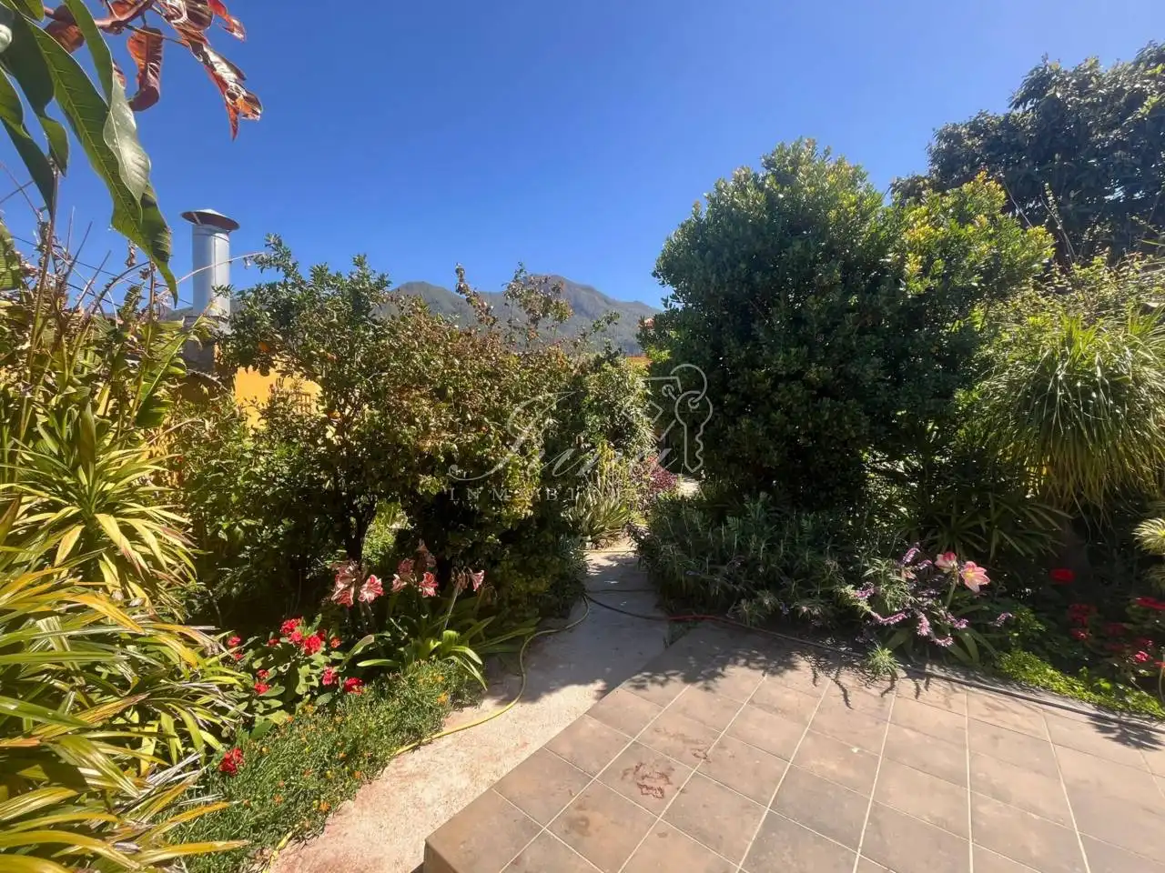 Jardín de Casa adosada en venta en El Paso con Jardín privado
