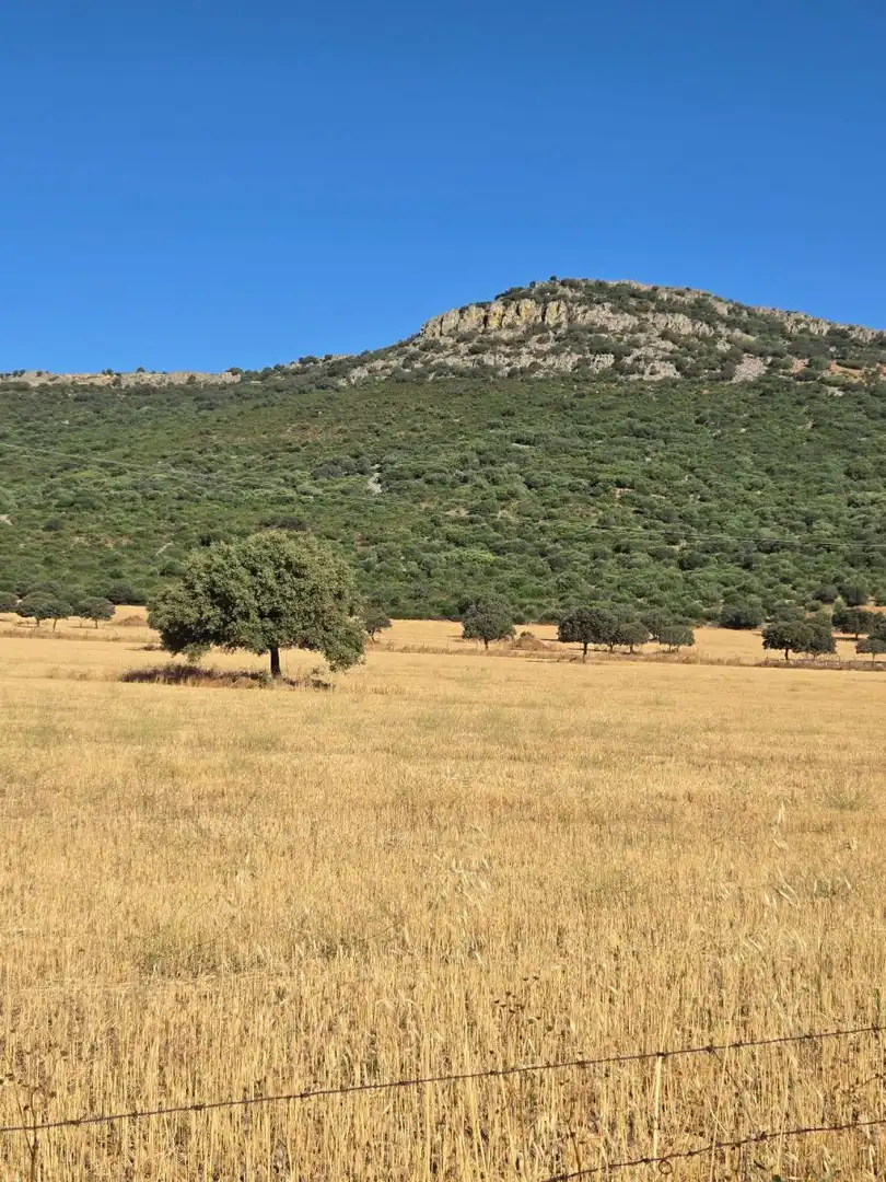 Finca rústica en venda a Área Rural-Valverde-Las Casas