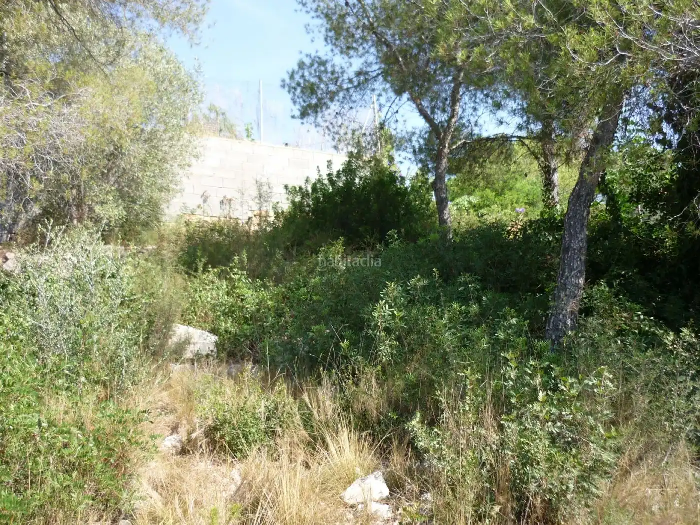 Terreno residencial en venta en Carrer Farigola 4, imagen 6